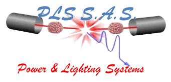 LOGO-PLS-2020